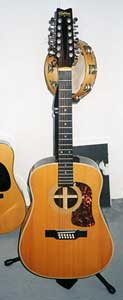 click for bigger picture of the Washburn 12
